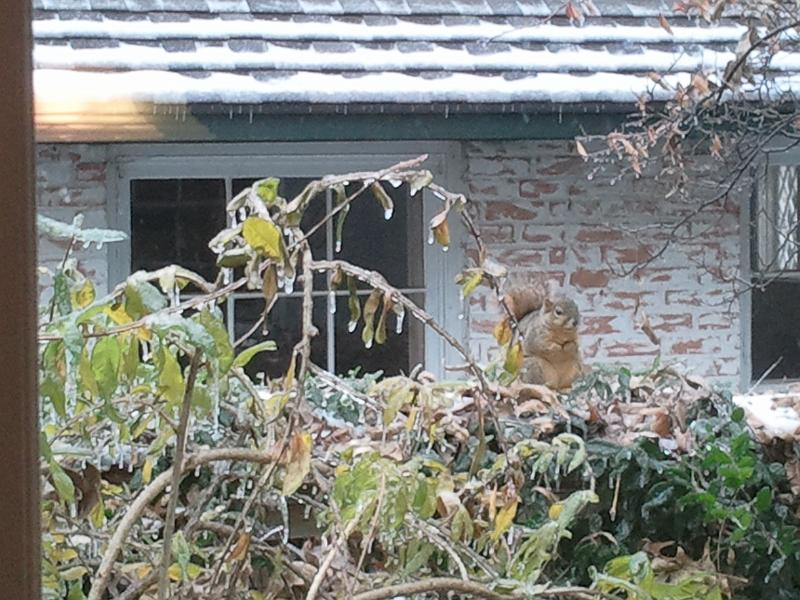 2013-12-07 10.50.33.jpg
